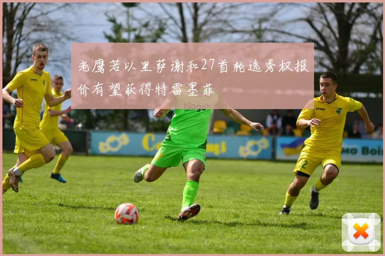 老鹰若以里萨谢和27首轮选秀权报价有望获得特雷墨菲